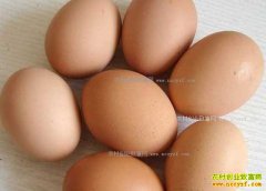 �����۸��µ���ֳ��ϧ�� ���������������ܾ�