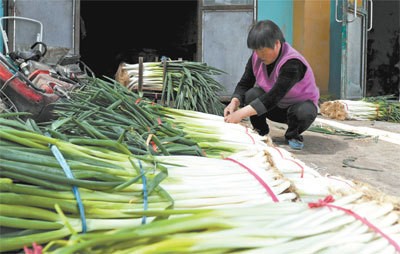 ��м۸����µ� �����ִ������Ǯ