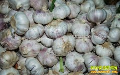 2017�����۸�Ԥ�⣺��������������ۿ�ʼ����