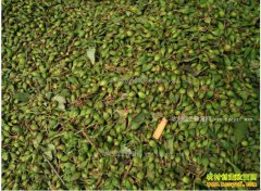 ���̼۸��������2017�����̼۸�����Ԥ��