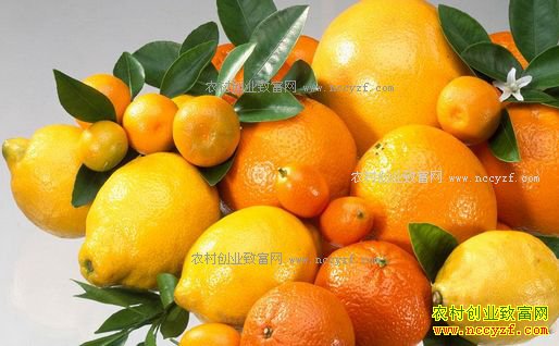 2017����ټ۸�����Ԥ�⣺������ˮ���۸��������ǿռ�