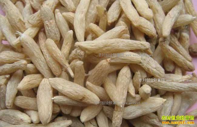 2017�������󶬼۸�