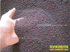 2017���Ͳ��Ѽ۸�Ԥ�⣺�ٴ�ѹ���ͷ� ���ͼ۸���꿴��