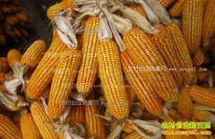 �������׼۸����飺���׼۸��ձ�����