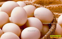 2017��3�¼����۸�Ԥ�⣺���۽�������λ�ǻ�