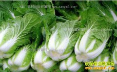 ���������ײ˼۸�Ԥ�⣺��ײ˼۸��µ������滧�������ˮ