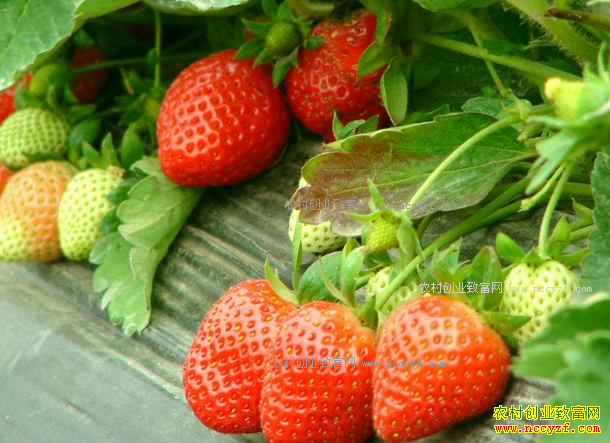 ˮ���۸�Ӹ߲��� �����ں�򽵼�