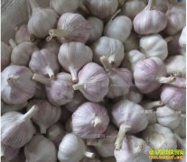 2017�����۸�Ԥ�⣺�������к����۸���ܴ������