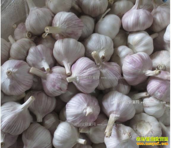 2017�����۸�Ԥ�⣺�������к����۸���ܴ������