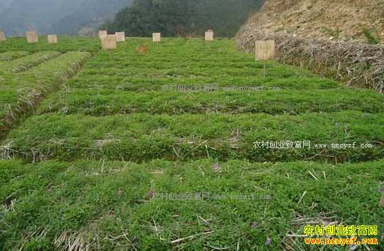 �㽭�����س³����ֲԪ����ҵ�¸���