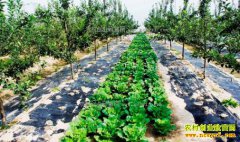 ƻ����������ʲô�ã�