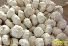 �����ִ��⻹��׬Ǯ��2017�����۸�����Ԥ��