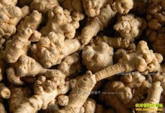 ���߶���Ǯһ�2017��3��13���������߼۸�����