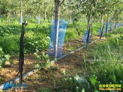 [�Ƽ�Է]����ˮ��һ�廯�Ŀ�ѧӦ����Ƶ