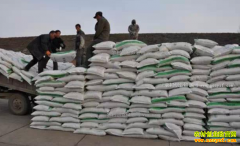 δ�����Ϸʼ۸�����Ԥ�⣺���Ϸʼ۸��ﻢ����