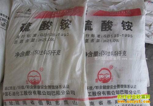 ����識۸�����߸� ����識۸����ǵ�ԭ�����