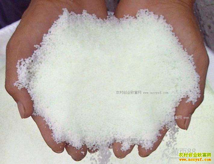 2017��3��16�ս��հ���ɽ���������ؼ۸񱨼�