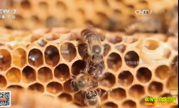 [�Ƽ�Է]����Ұ�� 20170313