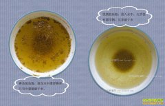 ����ʶ�������ۣ�����һ��ʶ��������