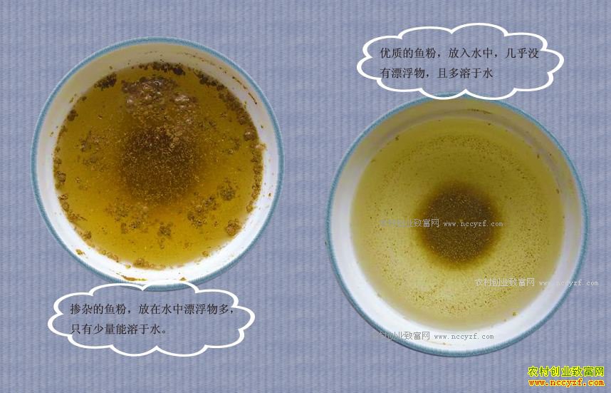 ����ʶ�������ۣ�����һ��ʶ��������