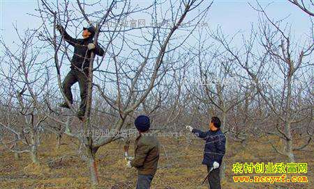 ������ӣ���������޼���