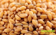 �г���Դ����С��۸�С������