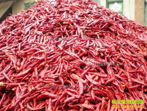 ���������۸�����Ԥ�⣺�������˫�س�� ��������䵭