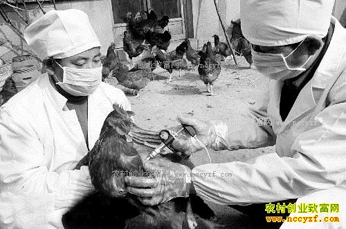 ���������׵�ʲô�����������Σ�