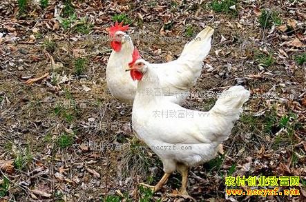 [�Ƽ�Է]42�����ϲ����İ�������