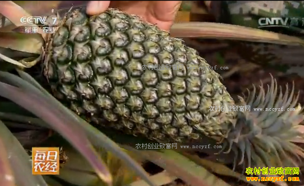 [ÿ��ũ��]�С����桱�Ĳ��ܲ�һ��