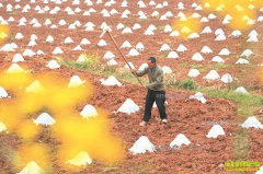 �Ĵ���������������ֲ�۱��Ϲ������3Ķ����2���Ԫ