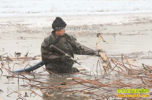 ��������ְҵ��ź�����С�������������