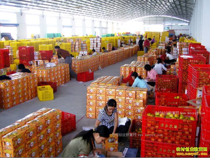 ˮ������׬Ǯ�ؾ����ƽ�ˮ�����̡�ʹ�㡱�ź�׬Ǯ