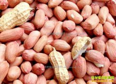 ���껨���۸������2017�껨���г��۸�����Ԥ��