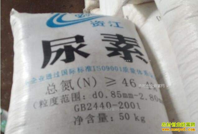 ���ؼ۸�����Ԥ�⣺2017�������г��۸�᲻�����ǣ�