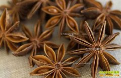 2017��6��19�����°˽ǣ������㣩�۸�����