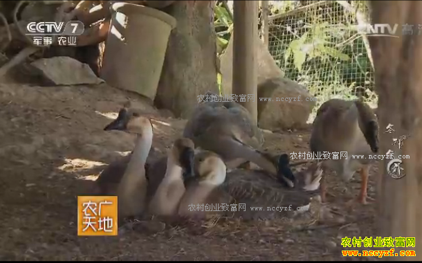 [ũ�����]�ڹ����߻�鱵����� 20170320