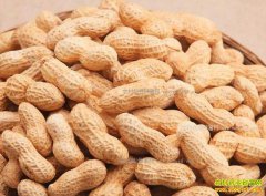 2017�����»����۸�Ԥ�⣺�������������