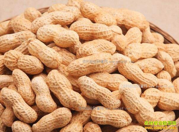 2017�����»����۸�Ԥ�⣺�������������