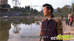 [�¸���]�Ĵ��Ͻ���������������� ����׬Ǯ