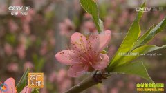 [ũ�����]���Ҵ������һ����ڹ���������Ƶ