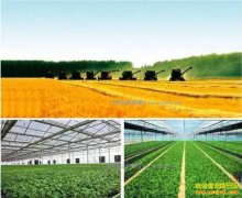 2017年种植致富风向标 今年种植行业什么项目赚钱