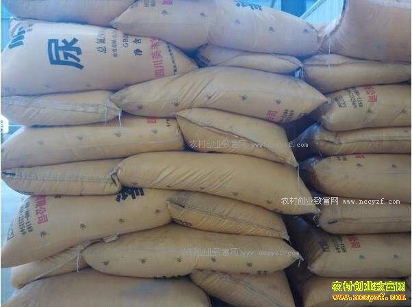 ���ؼ۸�������� δ�����ؼ۸��������