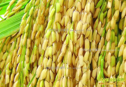 2017�굾������չ��۸���µ�֮��