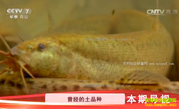 [�Ƽ�Է] �����߽���Ϊ�������ƶ�Ƥ������