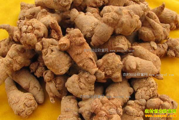 �������Ӵ� ���߼۸������г����