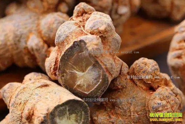 �������Ӵ� ���߼۸������г����