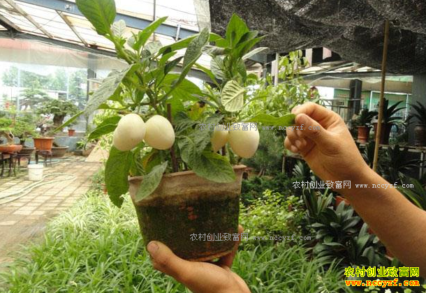 ��ũ�忪ʲô����׬Ǯ����ũ�ҵ�ǮҲ����׬