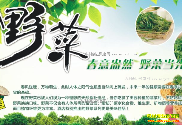 ��ũ�忪ʲô����׬Ǯ����ũ�ҵ�ǮҲ����׬