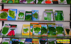 ����������Щ����ǰ�����г����Σ�